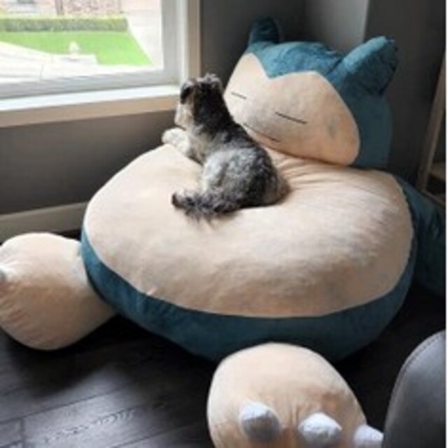 ポケットモンスター ポケモン カビゴン 特大ぬいぐるみ 新品 直径150㎝