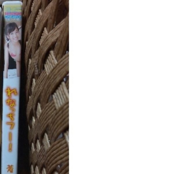 蒼井玲奈 DVD れなっちフー！ 廃盤 レア