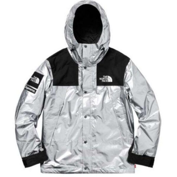 L Supreme The North Face Mountain Parka