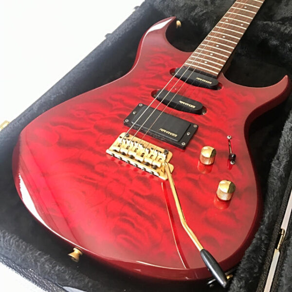 Fernandes FGZ-420 ケース・アーム付属