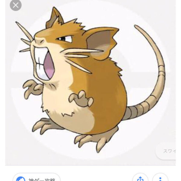 ネズミポケモン